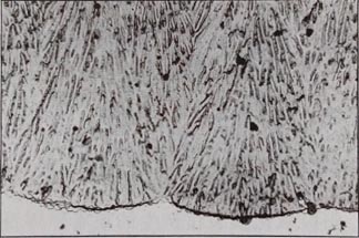 具有放射狀成長(zhǎng)微孔的鉻酸陽極氧化膜的截面構(gòu)造